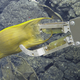 An egg sac captured by an ROV in the Iguanas-Pinguinos, a hydrothermal vent field. Photo Courtesy Ocean Exploration Trust